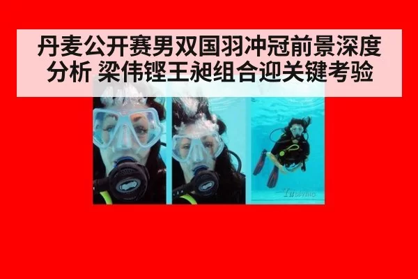 丹麦公开赛男双国羽冲冠前景深度分析 梁伟铿王昶组合迎关键考验